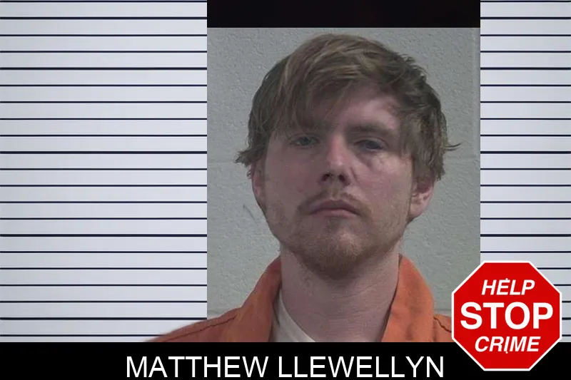 Matthew Llewellyn mugshot