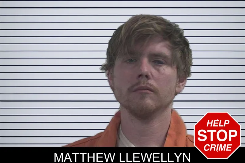 Matthew Llewellyn mugshot – McDuffie County , Georgia Matthew Llewellyn mugshot