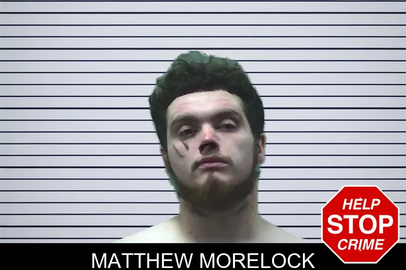 Matthew Morelock mugshot – Bleckley County , Georgia Matthew Morelock mugshot