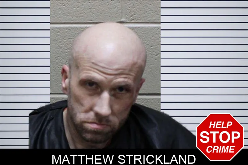 Matthew Strickland mugshot – Haralson County , Georgia Matthew Strickland mugshot