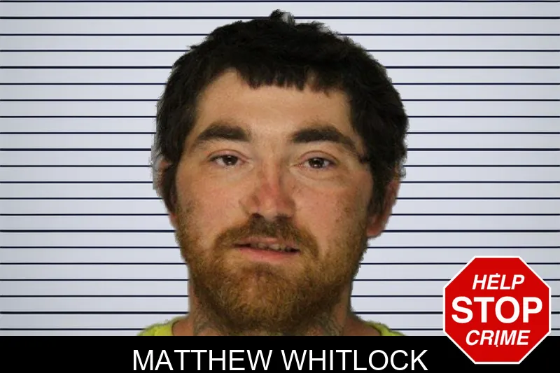 Matthew Whitlock mugshot – Hall County , Georgia Matthew Whitlock mugshot
