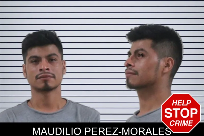 Maudilio Perez-Morales mugshot