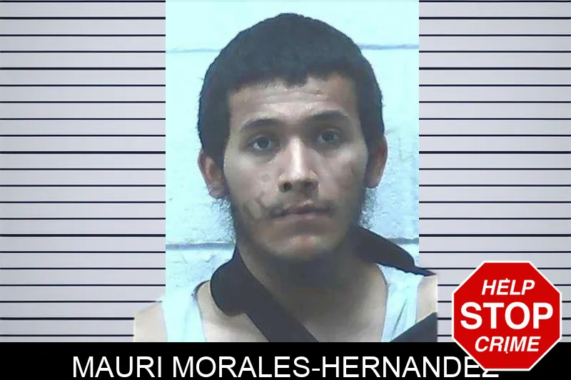 Mauri Morales-Hernandez mugshot