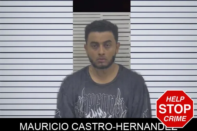 Mauricio Castro-Hernandez