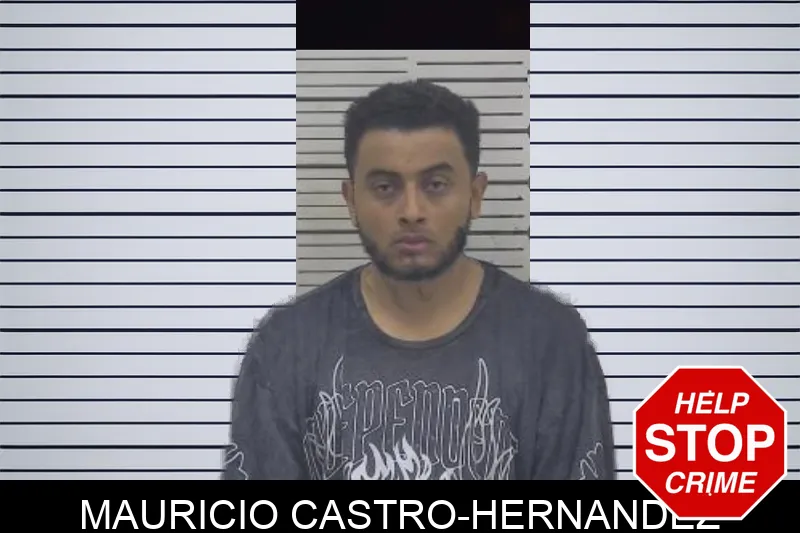 Mauricio Castro-Hernandez mugshot