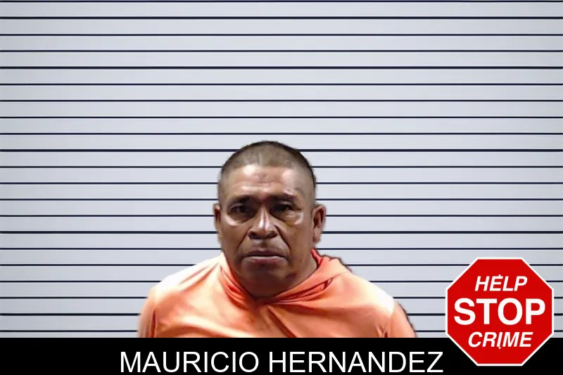 Mauricio Hernandez mugshot