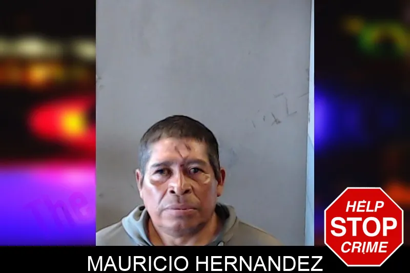 Mauricio Hernandez mugshot