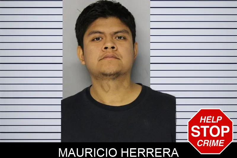 Mauricio Herrera mugshot