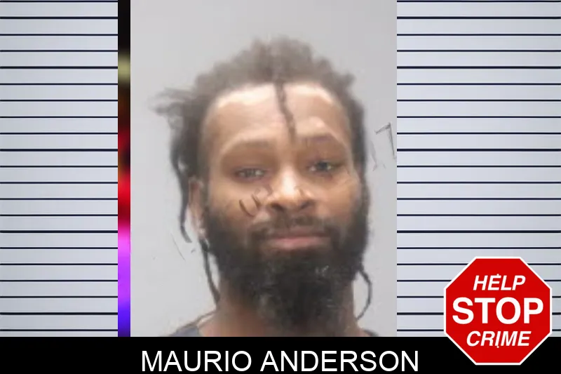 Maurio Anderson mugshot