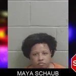 Maya Schaub mugshot – Wayne County , Georgia Maya Schaub mugshot