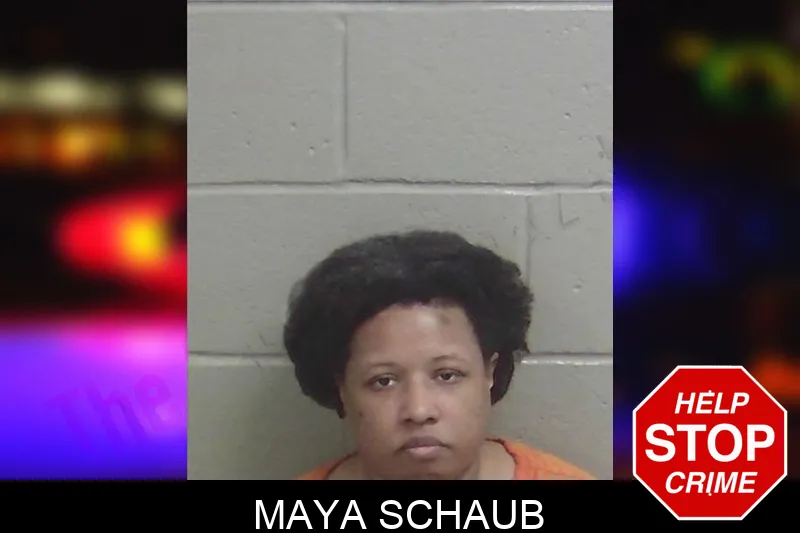 Maya Schaub mugshot – Wayne County , Georgia Maya Schaub mugshot