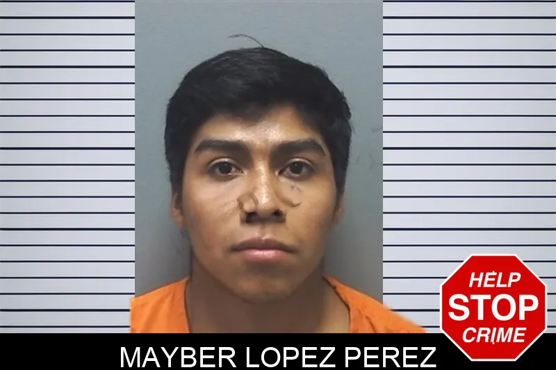 Mayber Lopez Perez mugshot