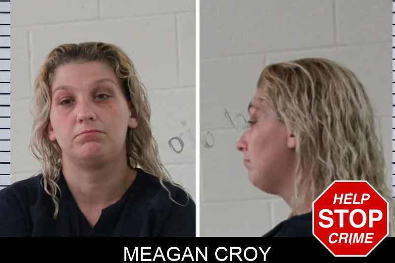 Meagan Croy mugshot