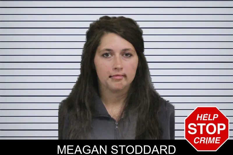 Meagan Stoddard mugshot
