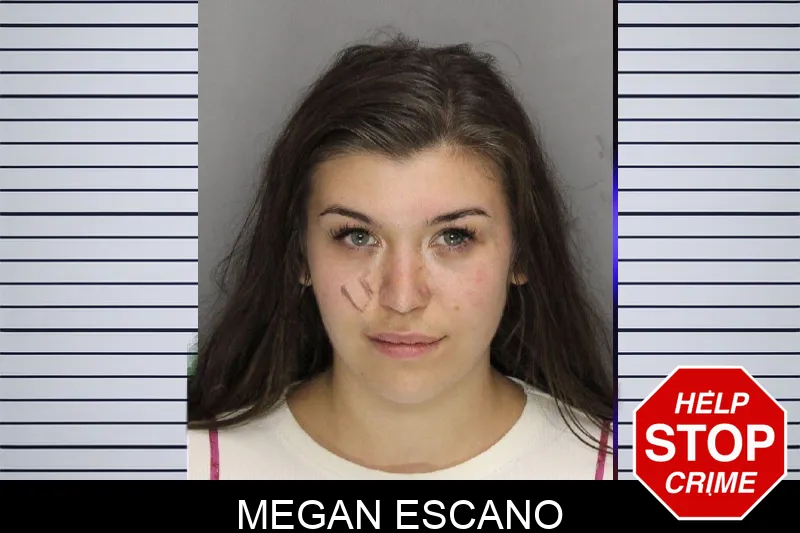 Megan Escano mugshot – Cobb County , Georgia Megan Escano mugshot