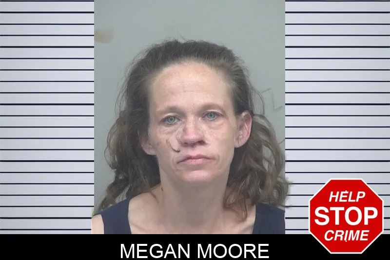 Megan Moore mugshot