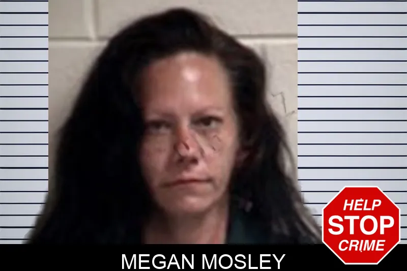 Megan Mosley mugshot