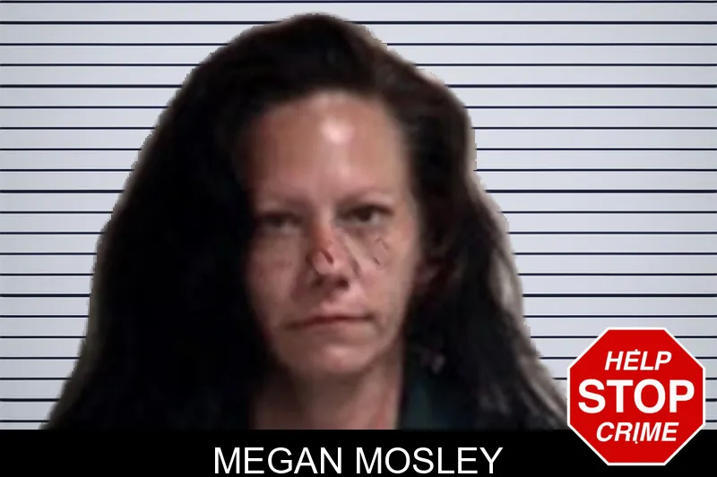 Megan Mosley mugshot – Henry County , Georgia Megan Mosley mugshot