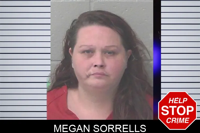 Megan Sorrells mugshot