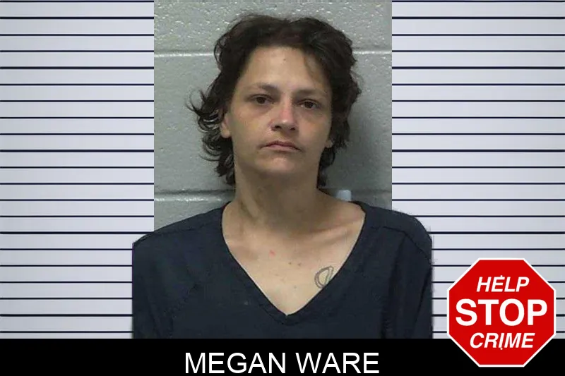 Megan Ware mugshot