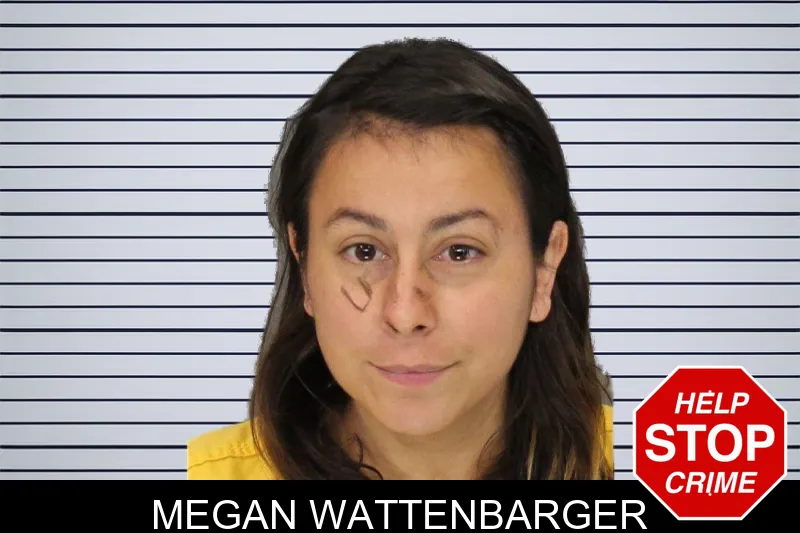 Megan Wattenbarger mugshot