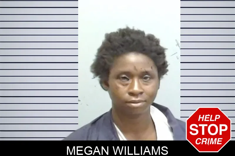 Megan Williams mugshot