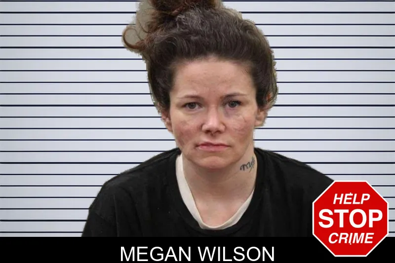 Megan Wilson mugshot