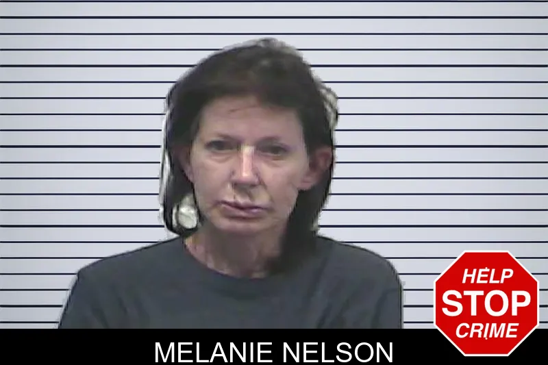 Melanie Nelson mugshot – Dawson County , Georgia Melanie Nelson mugshot