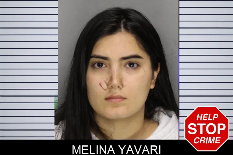Melina Yavari mugshot – Cobb County , Georgia Melina Yavari mugshot