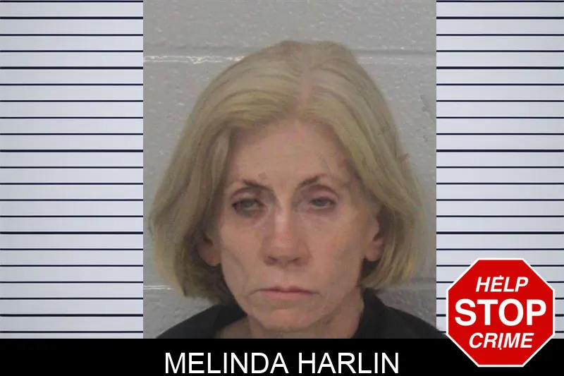 Melinda Harlin mugshot