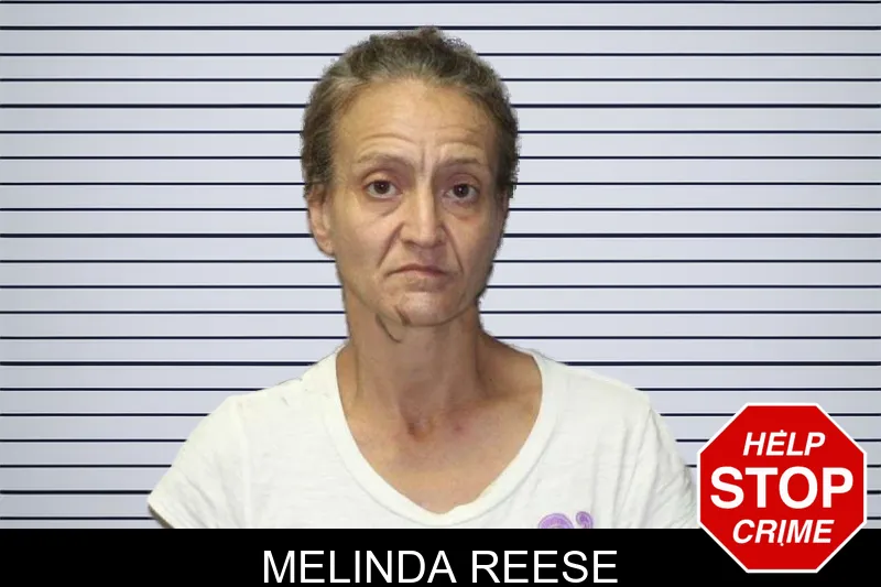 Melinda Reese mugshot