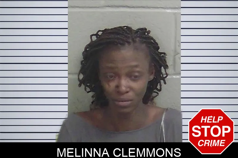 Melinna Clemmons mugshot