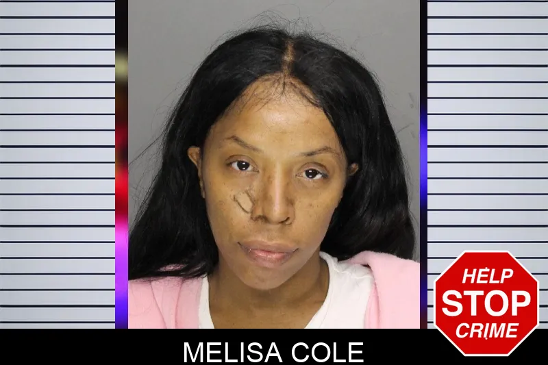 Melisa Cole mugshot