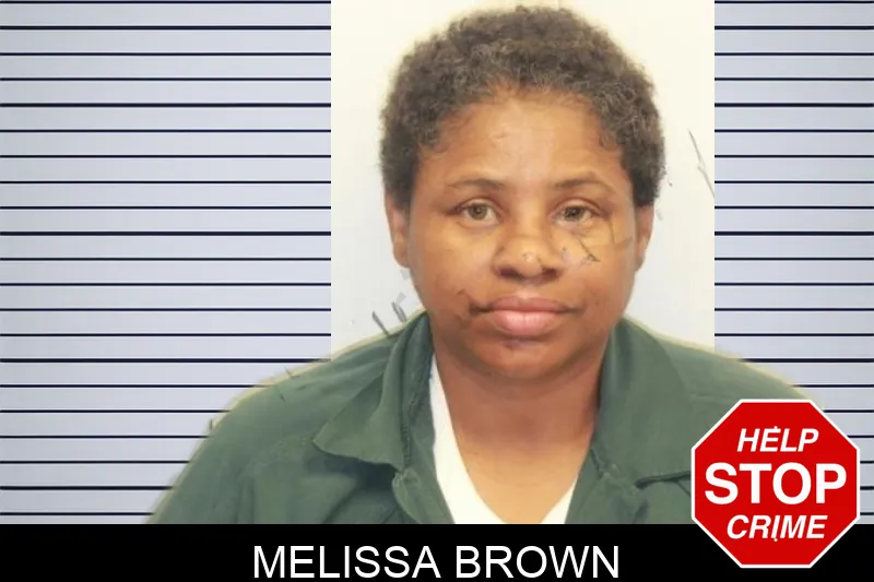 Melissa Brown mugshot – Chatham County , Georgia Melissa Brown mugshot