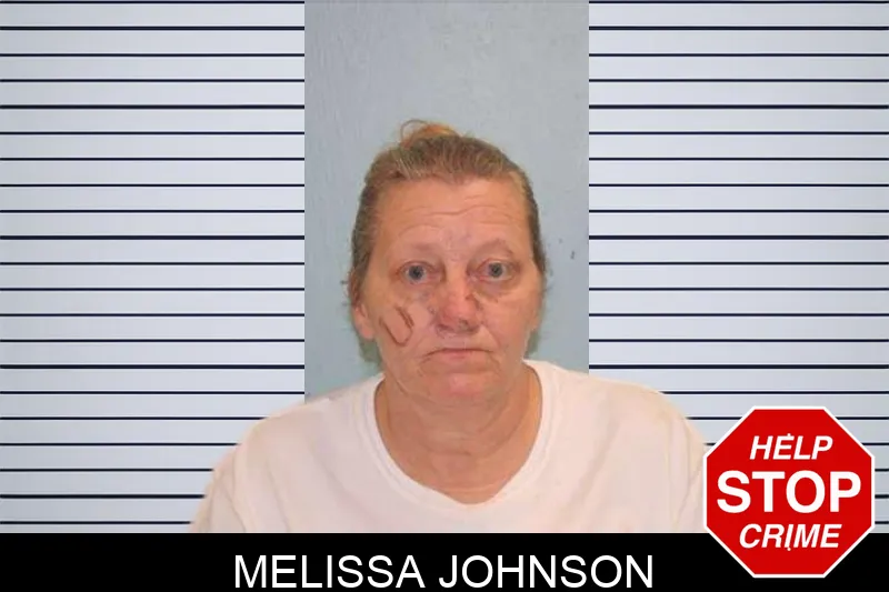 Melissa Johnson mugshot