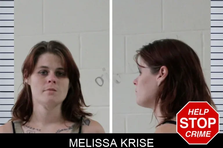 Melissa Krise mugshot – Houston County , Georgia Melissa Krise