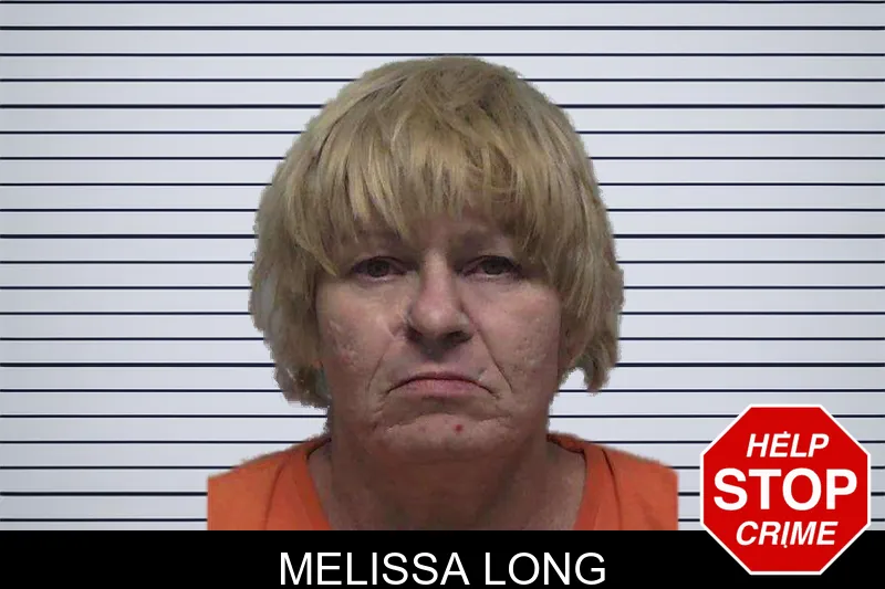Melissa Long mugshot