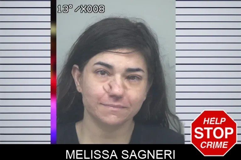 Melissa Sagneri mugshot – Gwinnett County , Georgia Melissa Sagneri