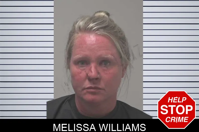 Melissa Williams mugshot – Coweta County , Georgia Melissa Williams mugshot