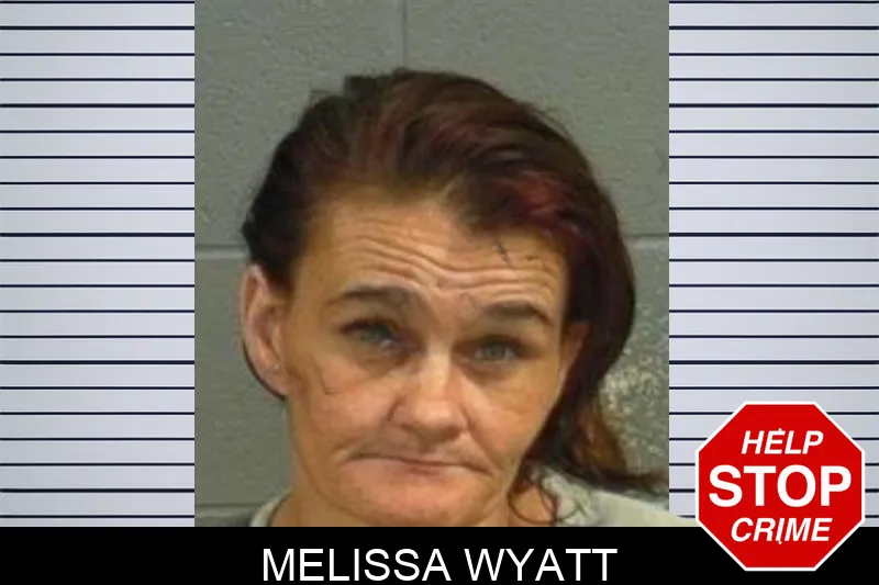 Melissa Wyatt mugshot