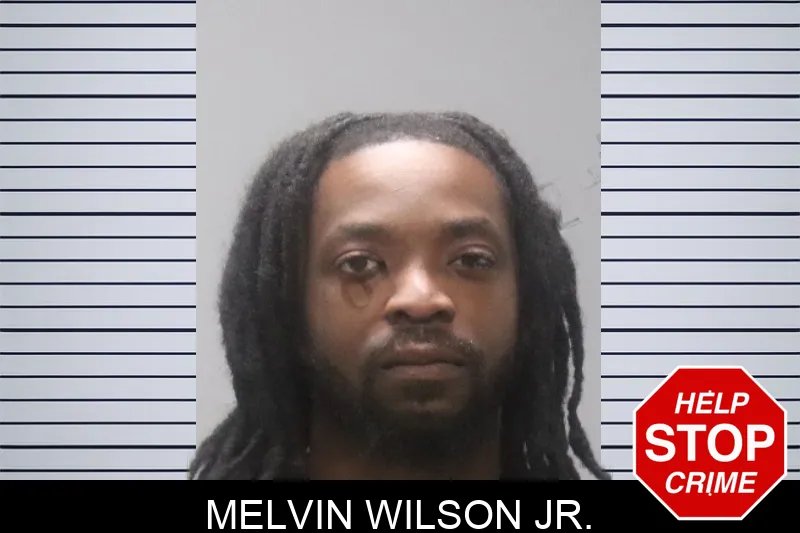 Melvin Wilson Jr. mugshot