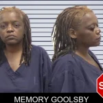 Memory Goolsby mugshot