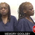 Memory Goolsby mugshot
