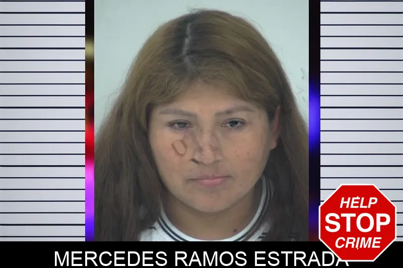 Mercedes Ramos Estrada mugshot
