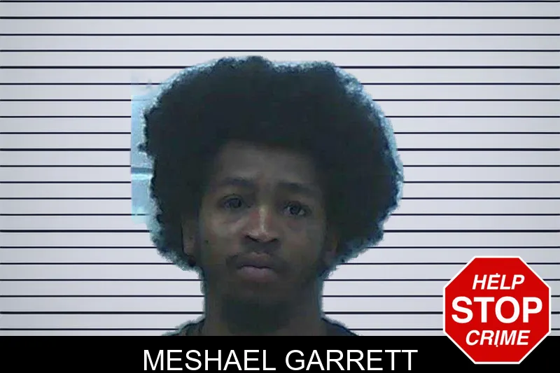 Meshael Garrett mugshot