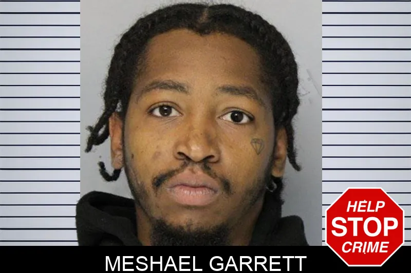 Meshael Garrett mugshot