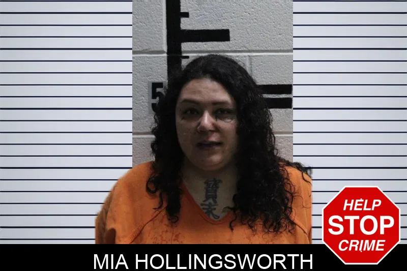 Mia Hollingsworth mugshot – Murray County , Georgia Mia Hollingsworth mugshot