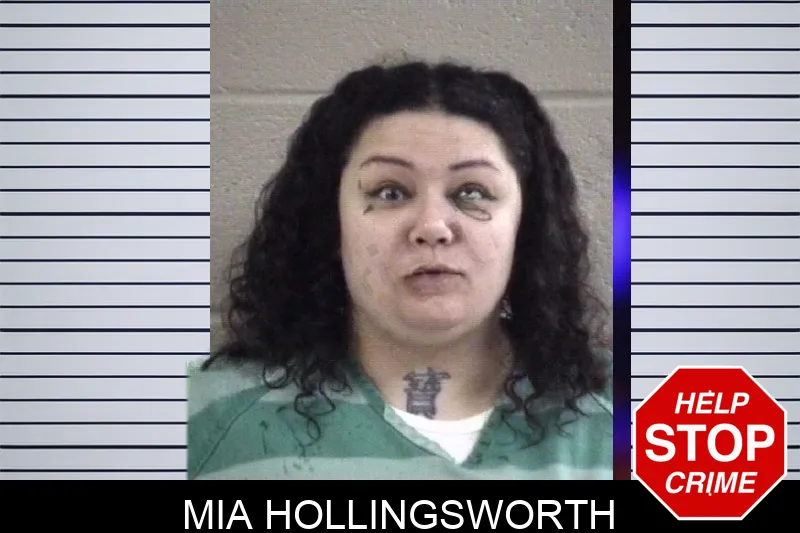 Mia Hollingsworth mugshot