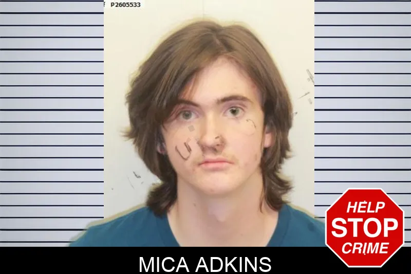 Mica Adkins mugshot