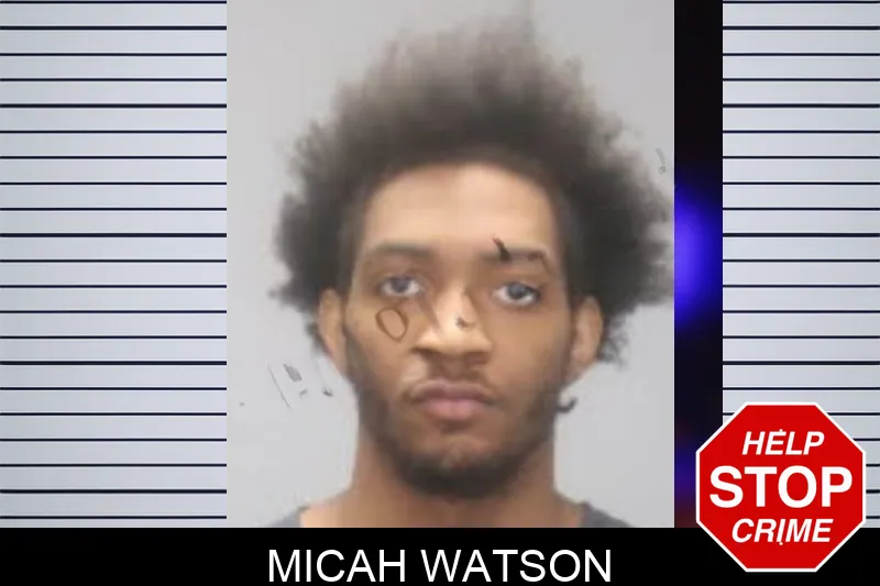 Micah Watson mugshot